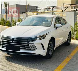 بی وای دی دیسترۆیەر 05